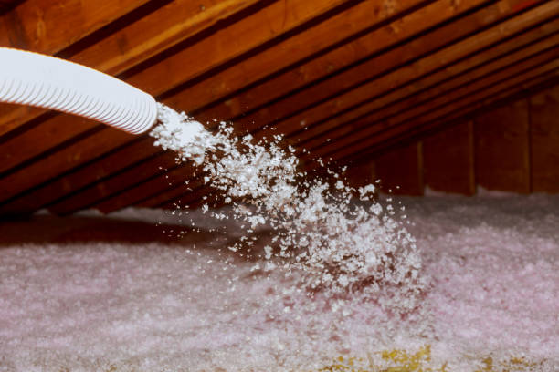 Best Eco-Friendly Insulation in Gustine, CA
